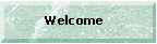 bar1.gif (4117 bytes)